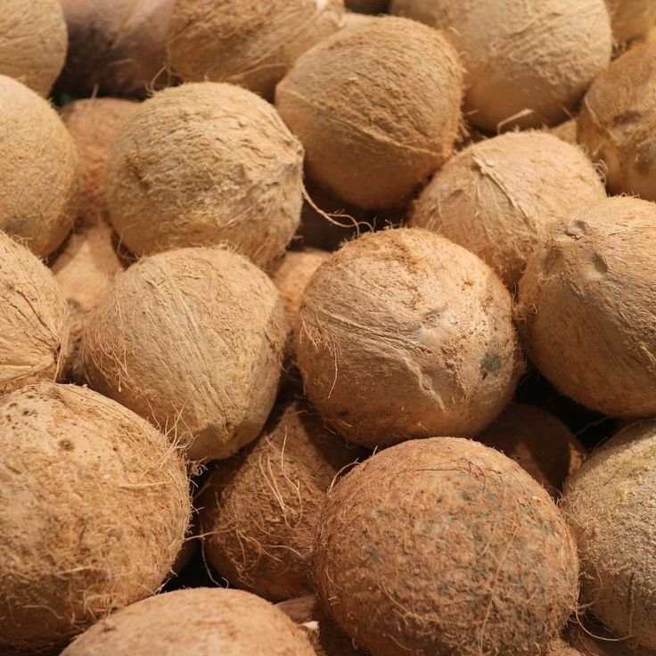 Kelapa Semi-Husk